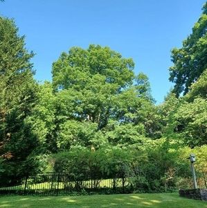 Meet your Posher, Pedro